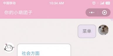 iSchool萌团子