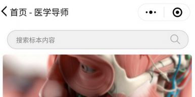 基于模型展示的医学导师小程序