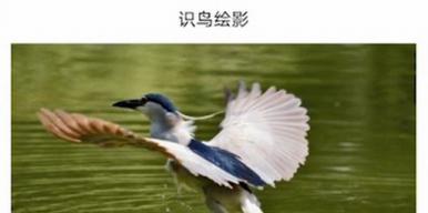 摄踪觅影