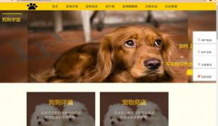 给“我”一个家