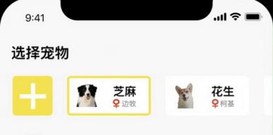 《IPET》——智能宠物管理APP