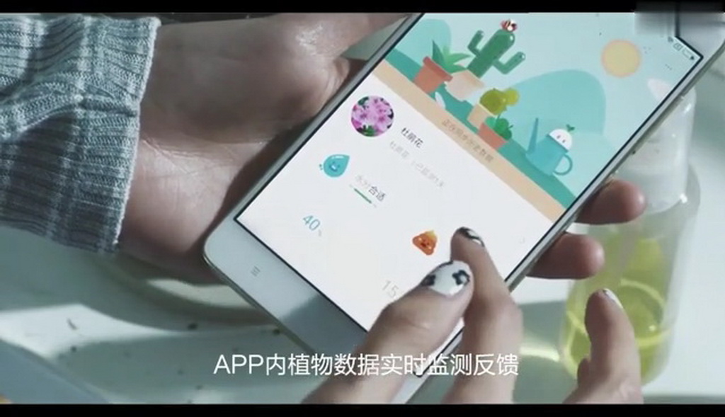 给生活增添一抹绿——智卉花盆