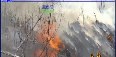 “火眼金睛”分布式智能视频图像火灾检测预警系统