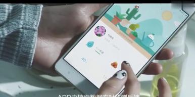给生活增添一抹绿——智卉花盆