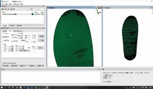 面向定制化运动装备3D打印的三维变形模拟系统(Insole3D)