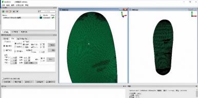 面向定制化运动装备3D打印的三维变形模拟系统(Insole3D)
