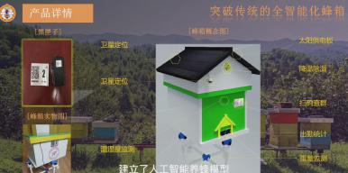 智能蜂箱——基于多传感器数据融合的智能蜂箱