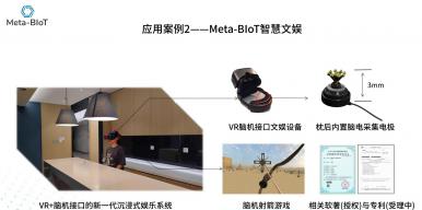 Meta-BIoT——基于AI与VR的脑机元宇宙平台
