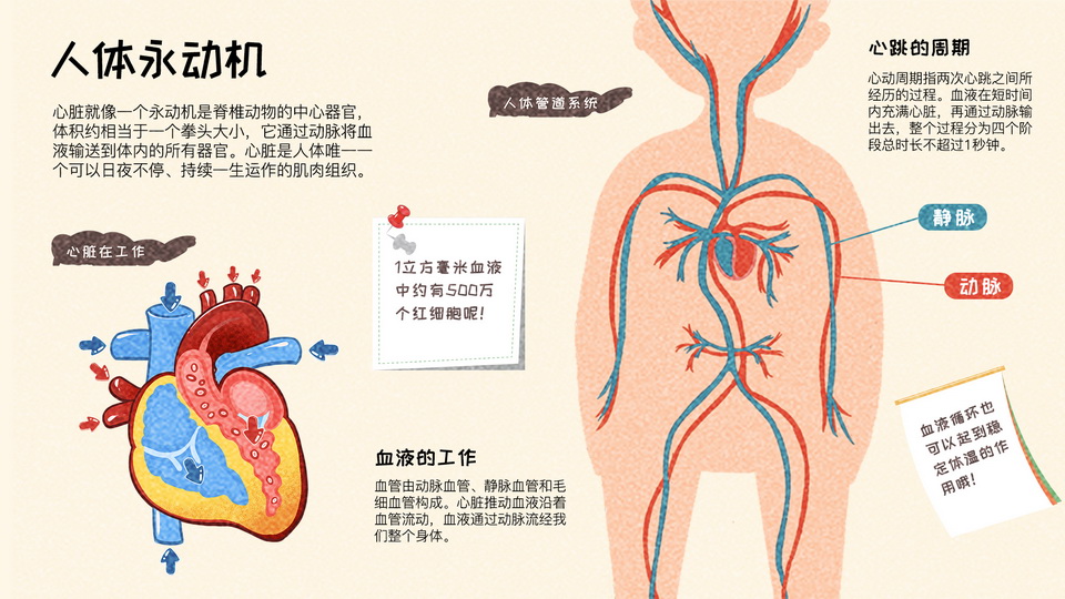 《我们身体里的秘密》
