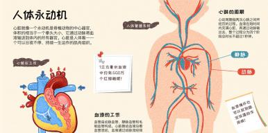 《我们身体里的秘密》