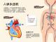 《我们身体里的秘密》
