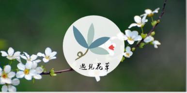 遇见花草app