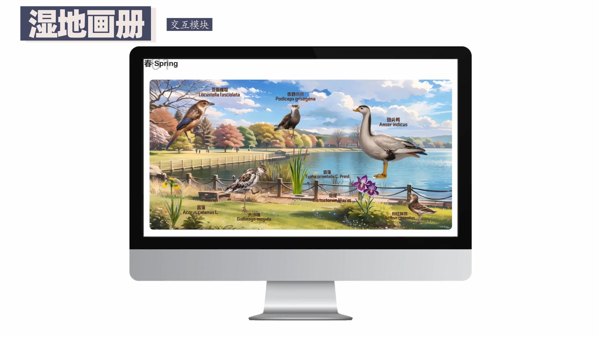 基于多模态识别技术的智能湿地水鸟监测系统