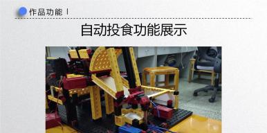 家猫康乐系统