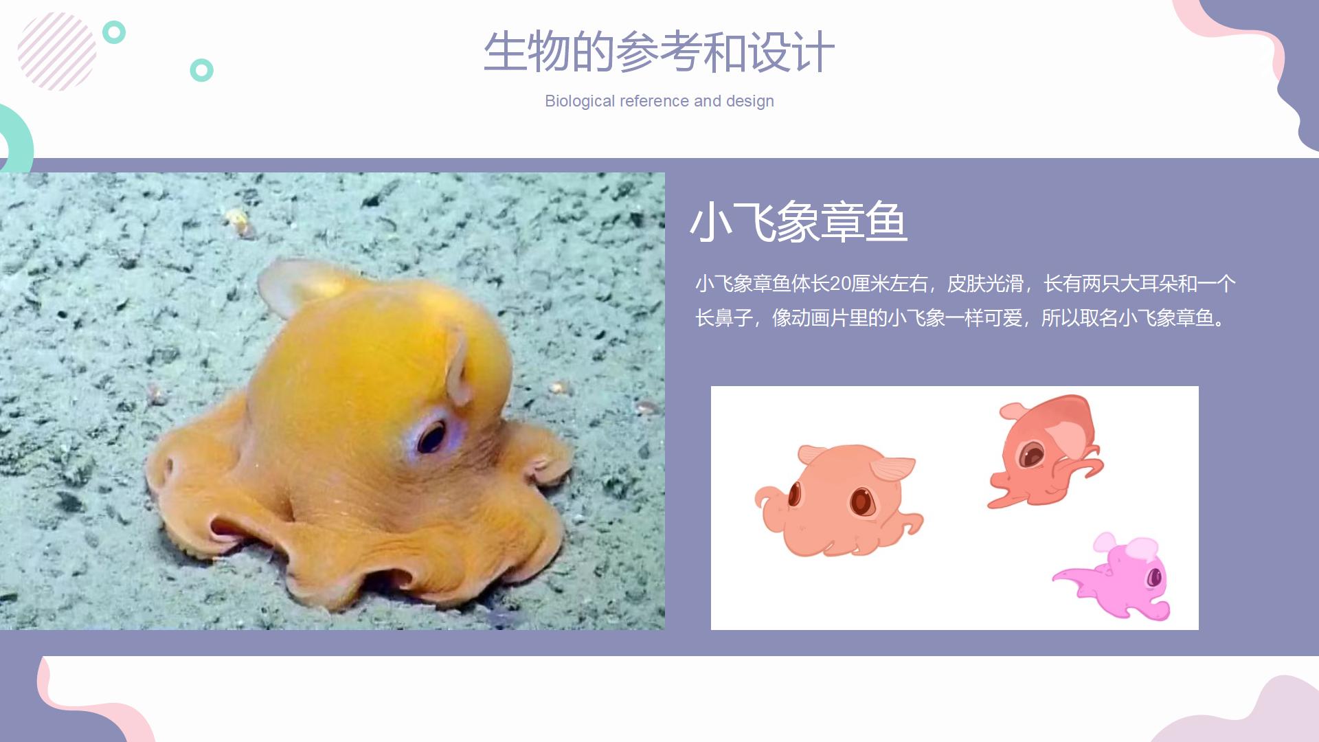 《小可与章鱼》儿童科普绘本