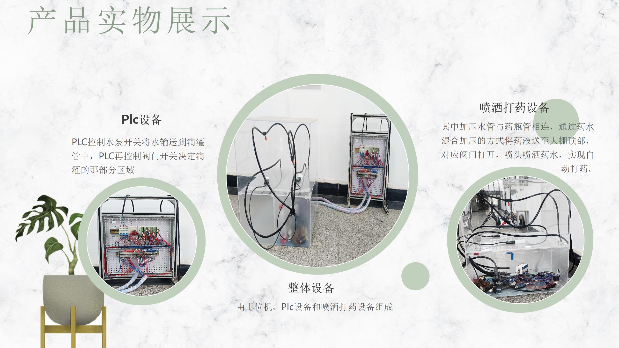 草莓精准智慧集中制系统