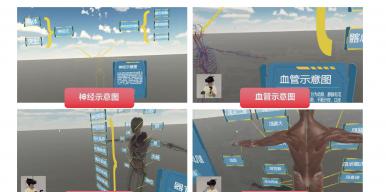 人体认识系统