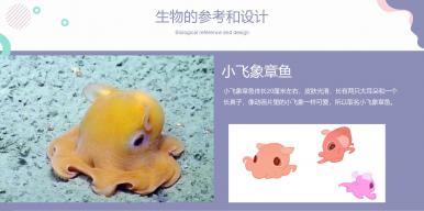 《小可与章鱼》儿童科普绘本
