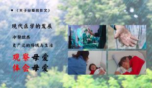 《关于母爱的作文》
