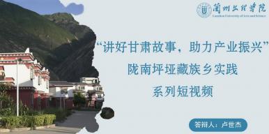 讲好甘肃故事，助力产业振兴——陇南坪垭藏族乡实践系列短视频