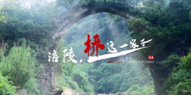 涪陵，桥这一家子