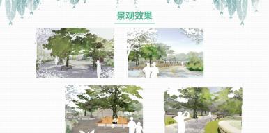 一时一心境，一花一世界——基于康养主题的综合公园