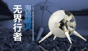 无界行者—海胆精灵
