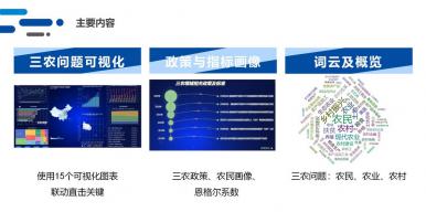 乡村振兴，科技助力——三农问题可视化分析平台
