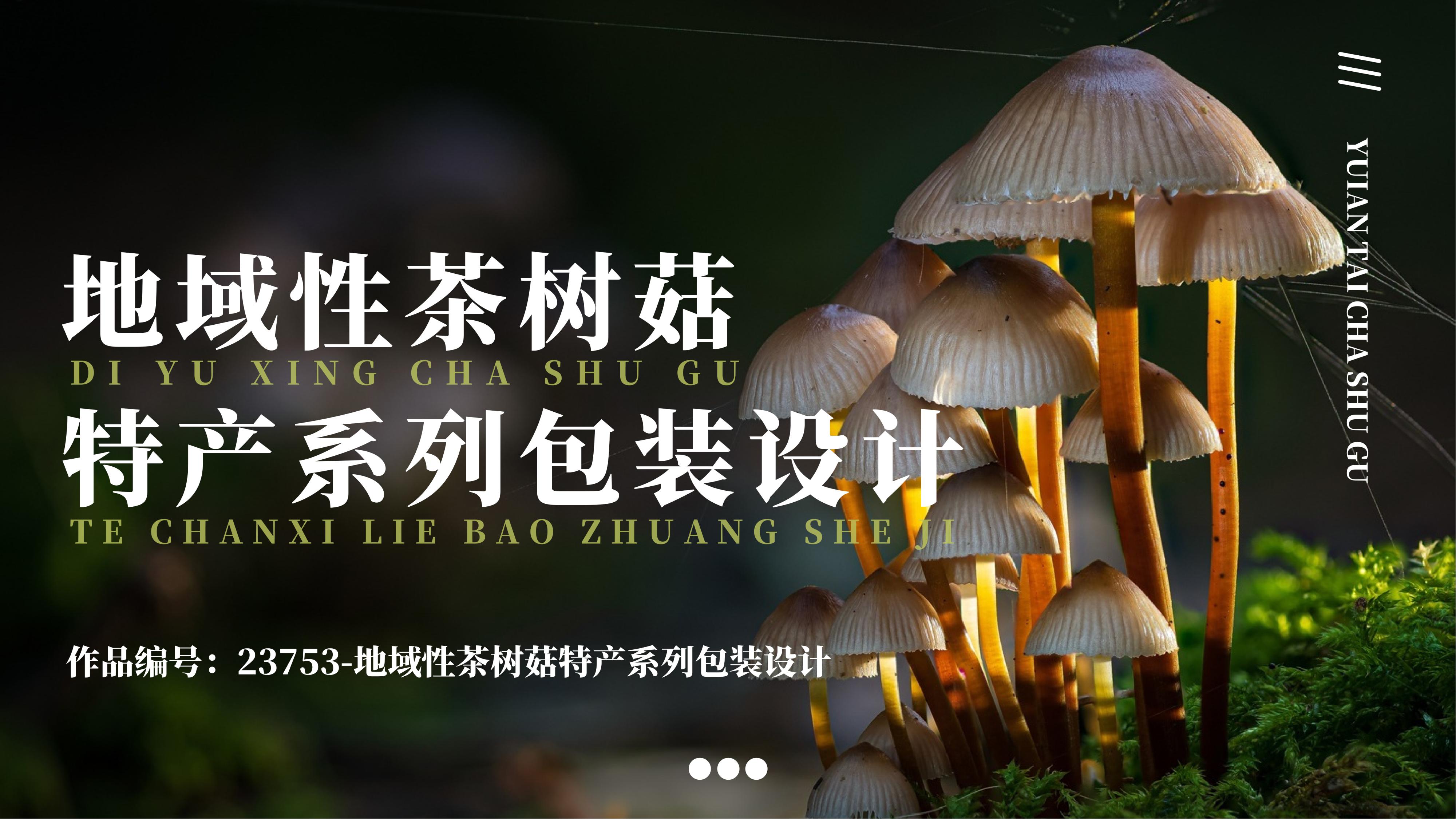 地域性茶树菇特产系列包装设计