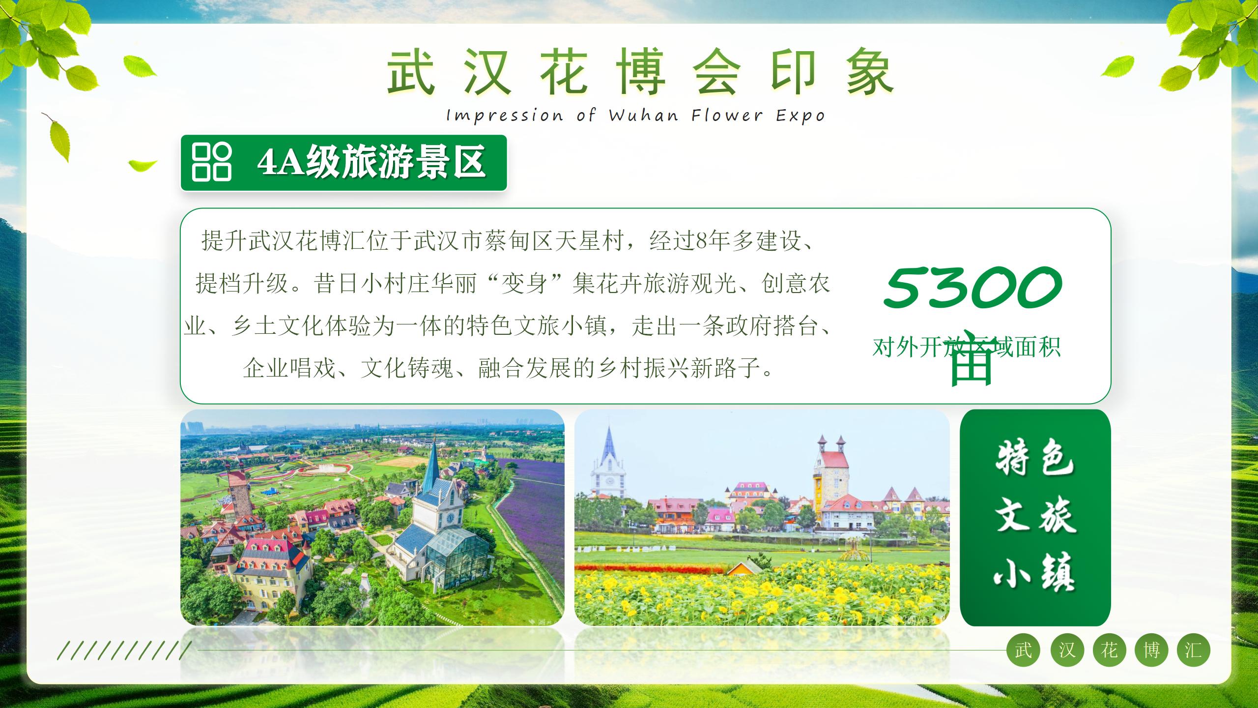 武汉天星村花博汇数字文旅原生态赛事活动创意与设计