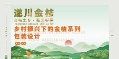 乡村振兴下的金桔系列包装设计