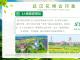 武汉天星村花博汇数字文旅原生态赛事活动创意与设计