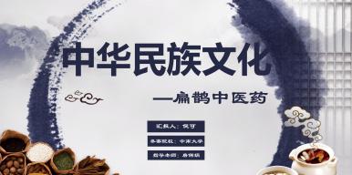 中华民族文化—扁鹊中医药