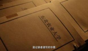 岁月华章：东农精神的光辉印记