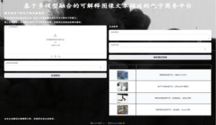 基于多模型融合的可解释图像文本描述模型——数字经济下的电子商务新视界